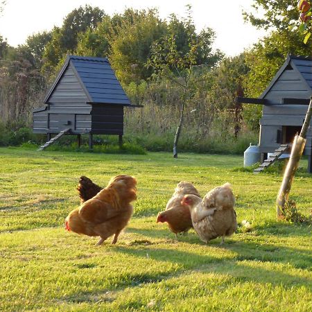 Hotel The Oaks Glamping - Magpie Half Shepherds Hut Colkirk Esterno foto